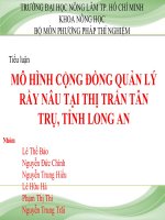 Tiểu luận MÔ HÌNH CỘNG ĐỒNG QUẢN LÝ RẦY NÂU TẠI THỊ TRẤN TÂN TRỤ, TỈNH LONG AN