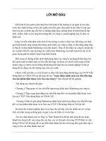 hoàn thiện chính sách xúc tiến hỗn hợp cho sản phẩm điện thoại avio sen của công ty cổ phần viễn thông điện tử vinacap 