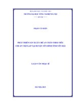 Phát triển sản xuất chè an toàn theo tiêu chuẩn việt gáp tại huyện yên bình tỉnh yên bái