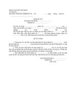 Biểu mẫu đại hội chi đoàn