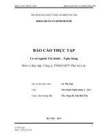 báo cáo cơ sở ngành tài chính – ngân hàng công ty TNHH MTV phú an lộc 