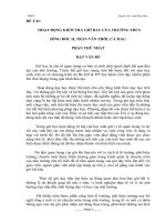 Kiểm tra giờ dạy giáo vien (Lâm Kim Hoa)