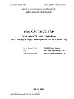 Cơ sở ngành tài chính – ngân hàng công ty tnhh một thành viên tuấn thiên long 