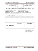 Phân tích tình hình tài chính tại Công ty Cổ phần phát triển nông lâm nghiệp Ánh Dương