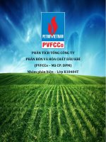 phân tích tổng công ty phân bón và hóa chất dầu khí