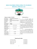 báo cáo phân tích công ty cổ phần hoàng anh gia lai