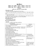 Giáo án buổi 1 tuần 1 năm học 2010   2011