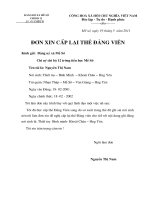 Đơn xin cấp lại thẻ Đảng