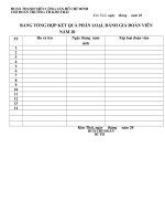 Mẫu xếp loại đoàn viên