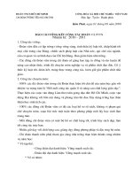 Báo cáo tổng kết CTĐ và PTTN năm 2010   2011
