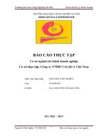 Báo cáo thực tập cơ sở ngành tài chính doanh nghiệp công ty TNHH VALQUA việt nam 