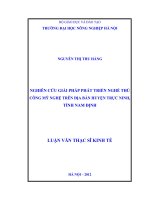 nghiên cứu giải pháp phát triển nghề thủ công mỹ nghệ trên địa bàn huyện trực ninh, tỉnh nam định