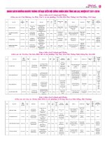 Công bố danh sách những người trúng cử đại biểu HĐND tỉnh Gia Lai