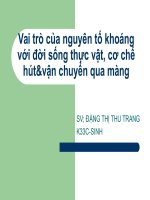 vai trò của các nguyên tố khoáng