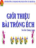 Bai trong ech