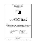 Đồ án môn học Thiết kế công nghệ cơ giới hóa công trình cầu theo phương pháp đúc hẫng