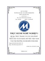 Đẩy mạnh xuất khẩu hạt tiêu vào thị trường ấn độ đến năm 2020