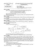 HSG Sinh Cà Mau, 10.11