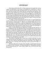 Pin năng lượng mặt trời