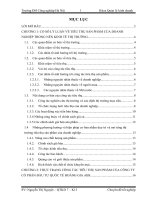 Giải pháp đẩy mạnh tiêu thụ sản phẩm của công ty cổ phần đầu tư quốc tế hoàng gia ABS 