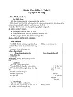 Giáo án tiếng việt 5 tuần 25 bài cửa sông2 