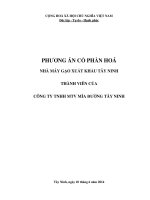 PHƯƠNG ÁN CỔ PHẦN HOÁ NHÀ MÁY GẠO XUẤT KHẨU TÂY NINH THÀNH VIÊN CỦA CÔNG TY TNHH MTV MÍA ĐƯỜNG TÂY NINH