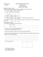 De thi HSG Lop 1 mon toan