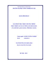 giải pháp thực hiện chương trình phát triển sản xuất nông sản hàng hoá của huyện lạng giang, tỉnh bắc giang 