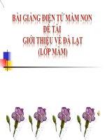 Bài giảng điện tử mầm non lớp Mầm đề tài Giới thiệu về Đà Lạt