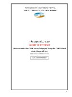 nghiệp vụ internet   cho nhân viên cskh sau tuyển dụng tại trung tâm cskh vietel và các công ty đối tác 