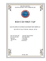 báo cáo chuyên đề kế toán tại công ty cổ phần giải pháp viễn thông 3c