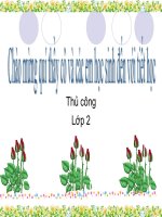 Huỳnh Thị  Ngọc thuủy