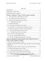 Báo cáo thực tập theo chuyên đề công ty TNHH YOUNGONE nam định 