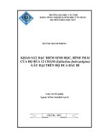 khảo sát đặc điểm sinh học, hình thái của bọ rùa 12 chấm (epilachna dodecastigma) gây hại trên họ dưa bầu bí