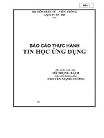 Báo cáo thực hành tin học ứng dụng