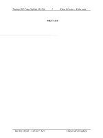 Hoàn thiện công tác tổ chức kế toán thuế GTGT tại công ty CP đầu tư thương mại và dịch vụ Trường Thịnh