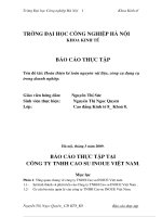 Hoàn thiện kế toán nguyên vật liệu, công cụ dụng cụ trong doanh nghiệp công ty TNHH Cao su INOUE Việt nam