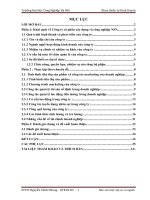 Báo cáo kiến tập tại công ty cổ phần xây dựng và công nghiệp NSN 