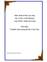 Ô nhiễm môi trường đô thị tại Việt Nam