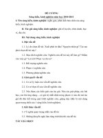 MẪU LÀM SÁNG KIẾN KINH NGHIỆM MẪU 2