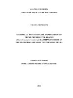 technical and financial comparison of giant freshwater prawn (macrobrachium rosenbergii) farming systems in the flooding areas of the mekong delta
