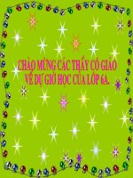 Tiết 73 Bài học đường đời đầu tiên Thi GVDG