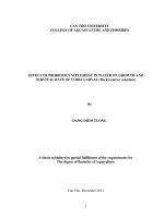 effect of probiotics suplement in water on growth and survival rate of cobia larvae (rachycentron canadum)