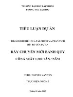 thẩm định hiệu quả tài chính và phân tích rủi ro của dự án dây chuyền mới bánh quy công suất 1,500 tấn  năm