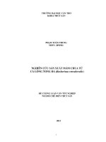 nghiên cứu sản xuất mắm chua từ cá lòng tong đá (rasborinas retrodorsalis)