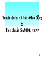 trách nhiệm xã hội về lao động và tiêu chuẩn SA)), WRAP