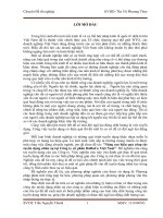 Một số giải pháp nhằm nâng cao hiệu quả công tác tuyển dụng nhân sự ở công ty cổ phần habaco việt nam 