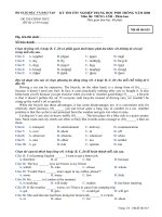 Đề thi TN THPT môn Tiếng Anh năm 2008 mã 615