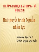 Bài Thuyết Trình Nguồn Nhân Lực