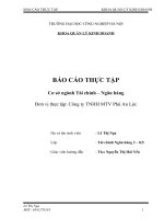 Báo cáo thực tập cơ sở ngành tài chính ngân hàng công ty TNHH MTV phú an lộc